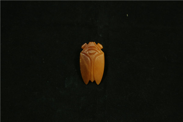 八刀蝉